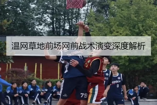 温网草地前场网前战术演变深度解析