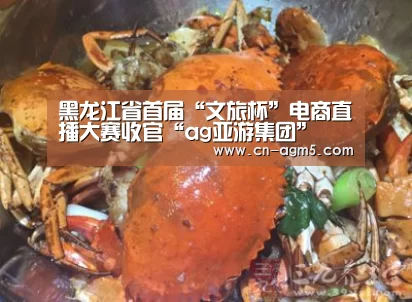 黑龙江省首届“文旅杯”电商直播大赛收官“ag亚游集团”(图4) AG亚娱