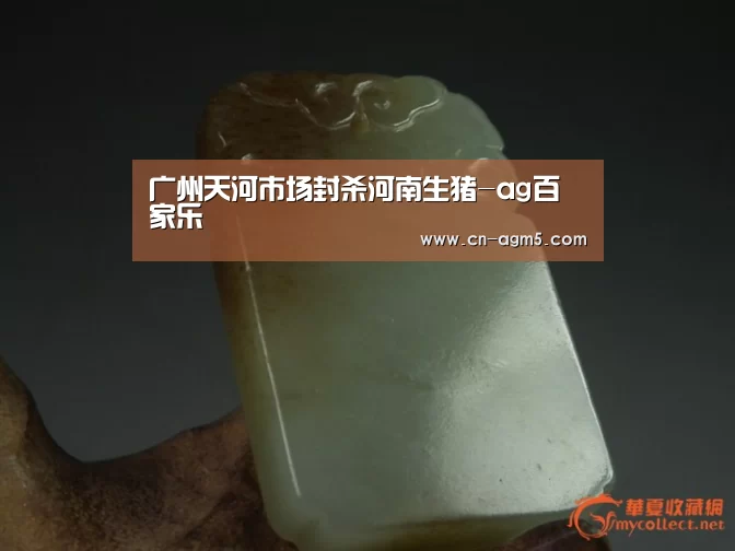 广州天河市场封杀河南生猪-ag百家乐(图1) ag官网