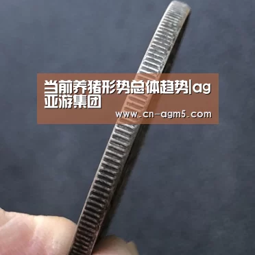 ag百家乐