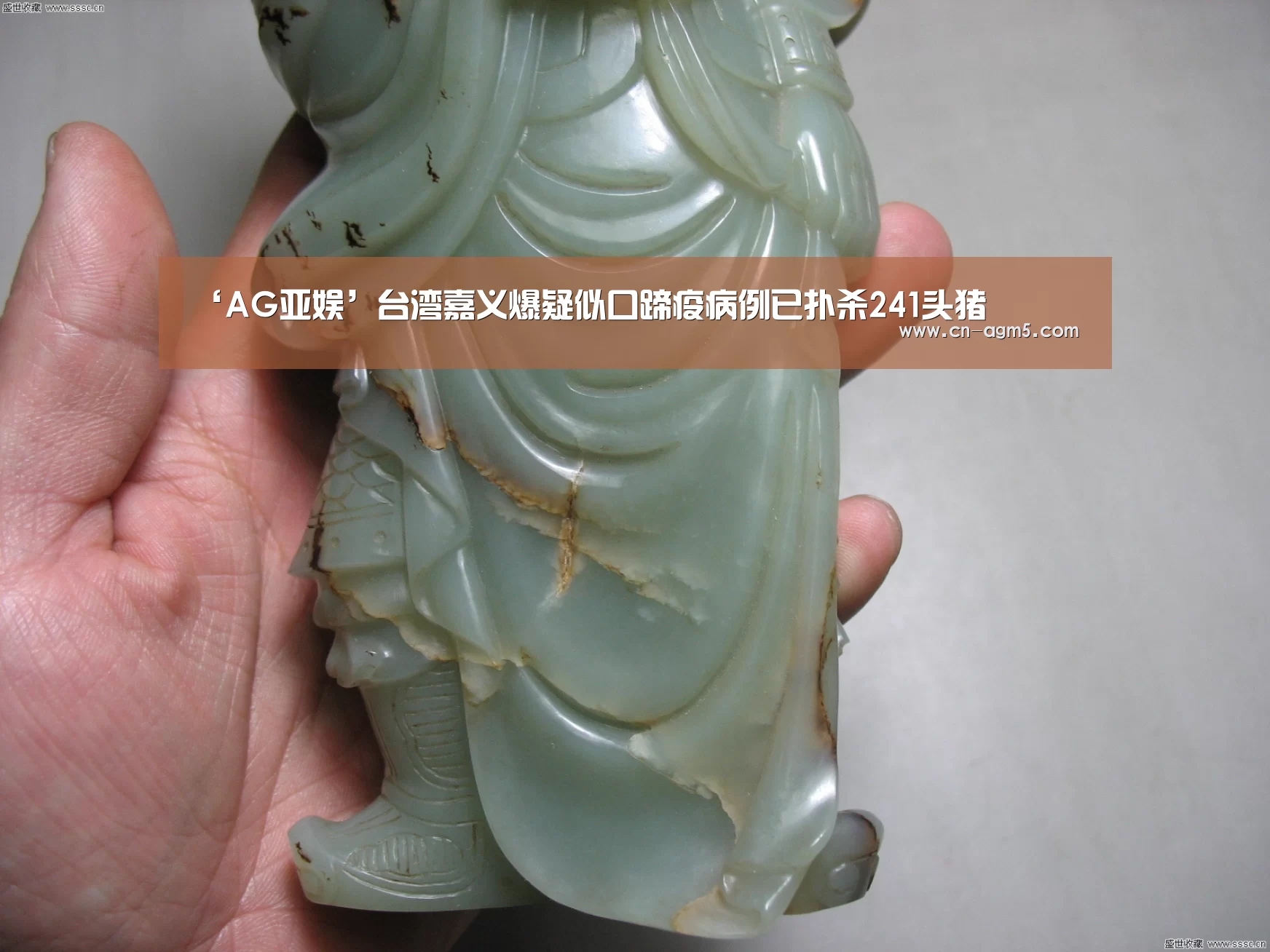 ‘AG亚娱’台湾嘉义爆疑似口蹄疫病例已扑杀241头猪(图1) ag官网