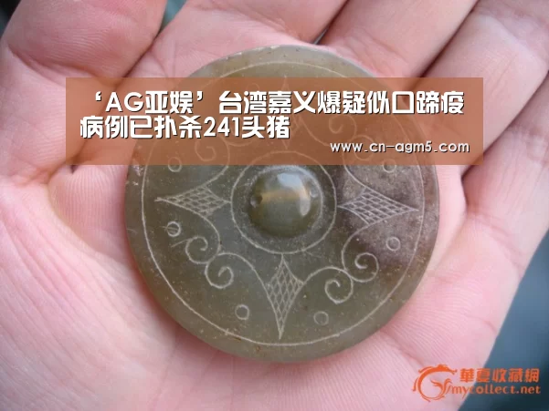 ‘AG亚娱’台湾嘉义爆疑似口蹄疫病例已扑杀241头猪(图2) ag亚游集团