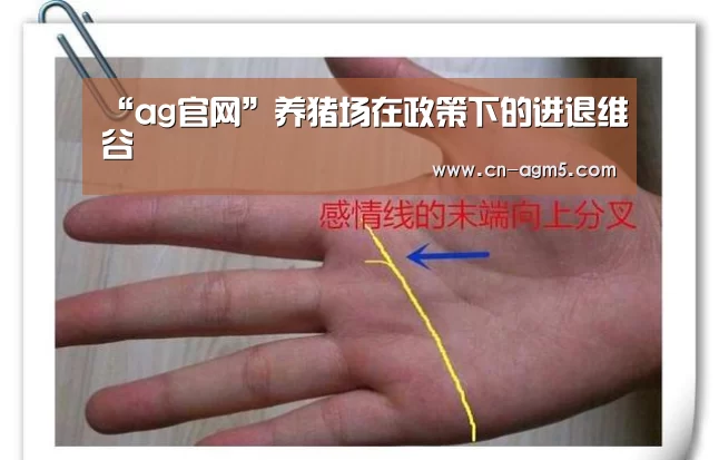 “ag官网”养猪场在政策下的进退维谷(图2) ag亚游集团