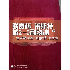 联赛杯 莱斯特城2-0利物浦“ag官网”(图4) ag百家乐