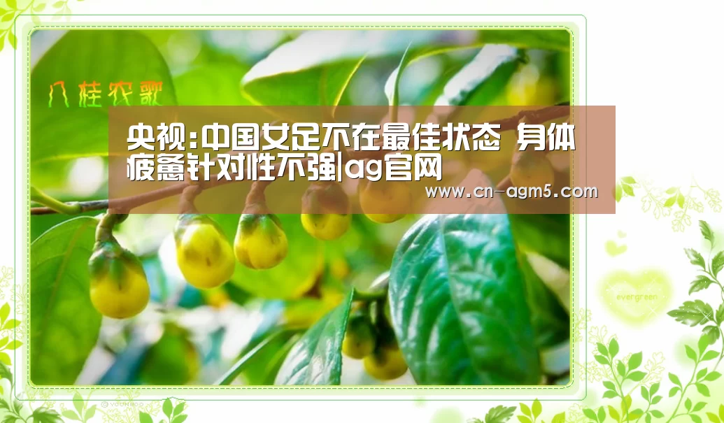 ag百家乐